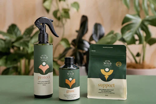 Essential Plant Care Kit - We The Wild - The Plant Buddies