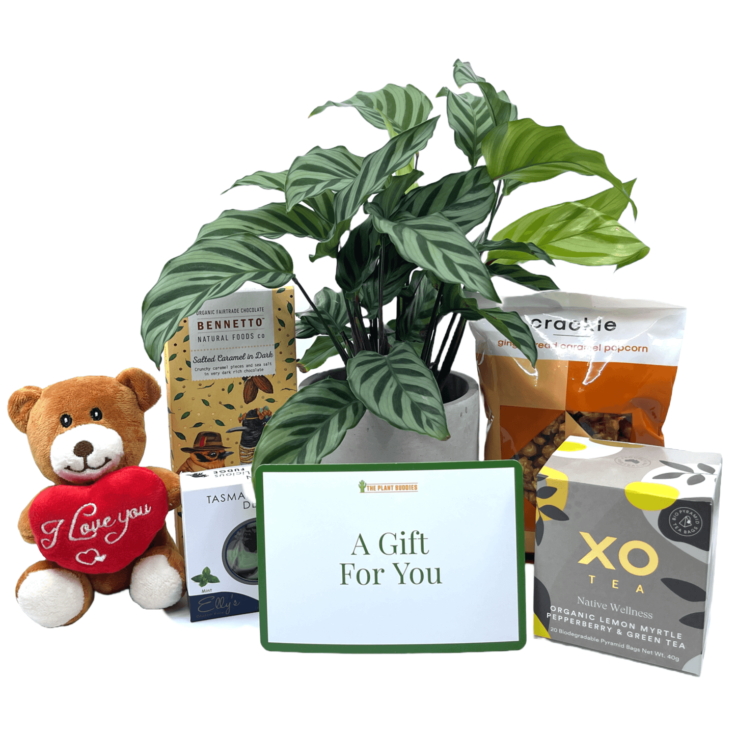 I Love You Gift Box - The Plant Buddies