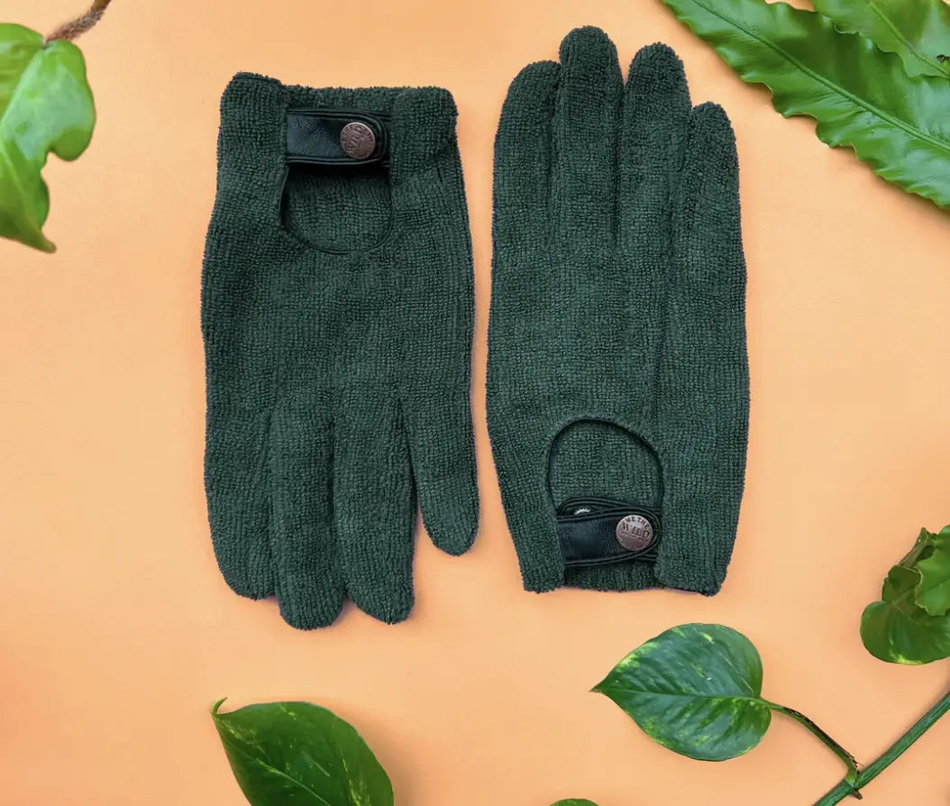 Leaf Health Essentials Kit - We The Wild - The Plant Buddies