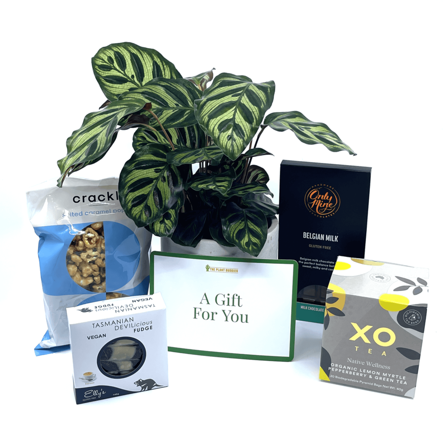 Pamper Him Gift Box - The Plant Buddies