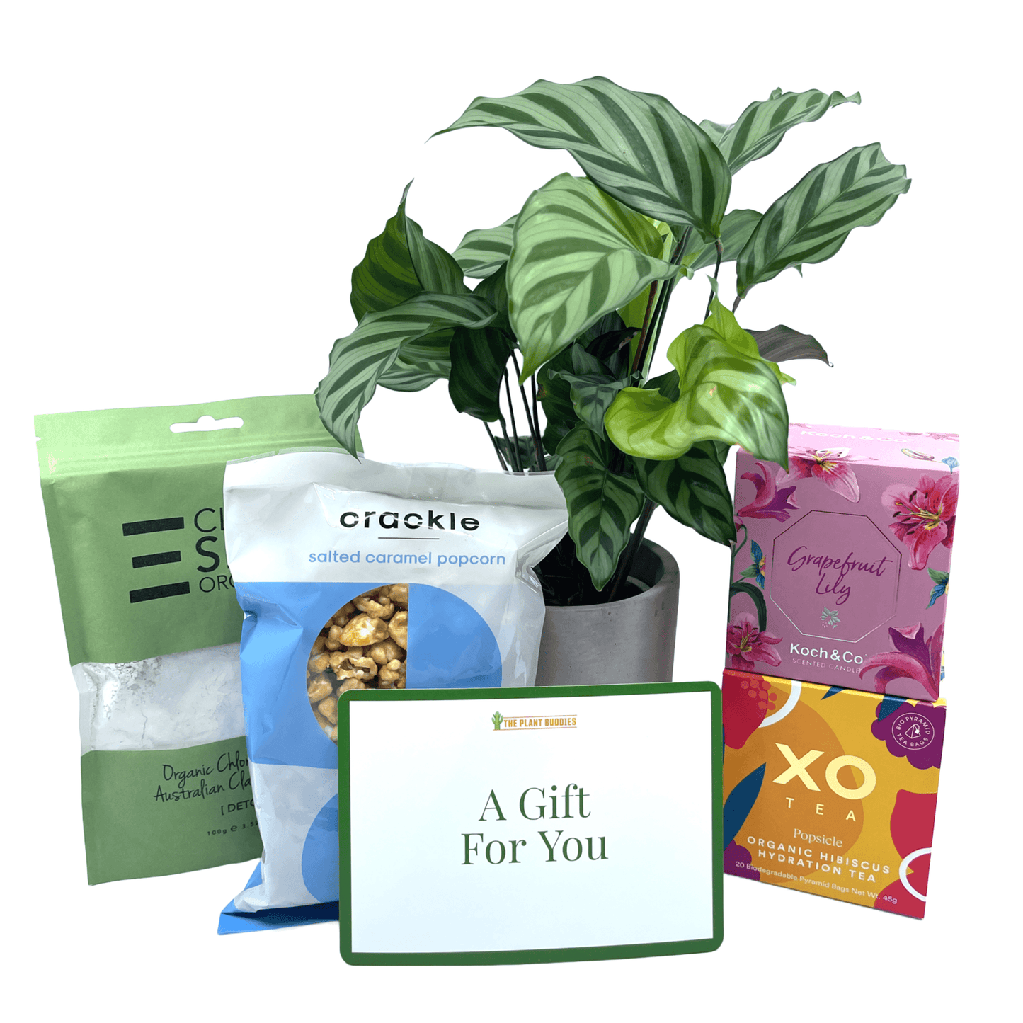 Relax Gift Box - The Plant Buddies