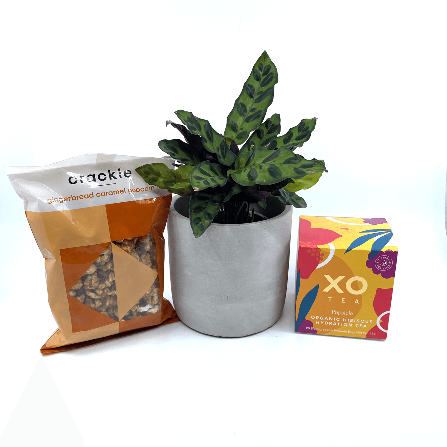 Thanks For Being You - Gift Box - The Plant Buddies