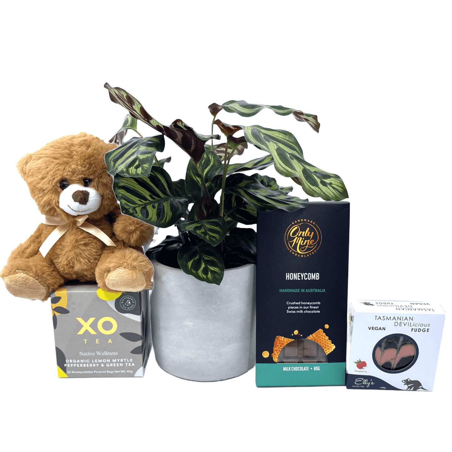 We Will Miss You Gift Box - The Plant Buddies