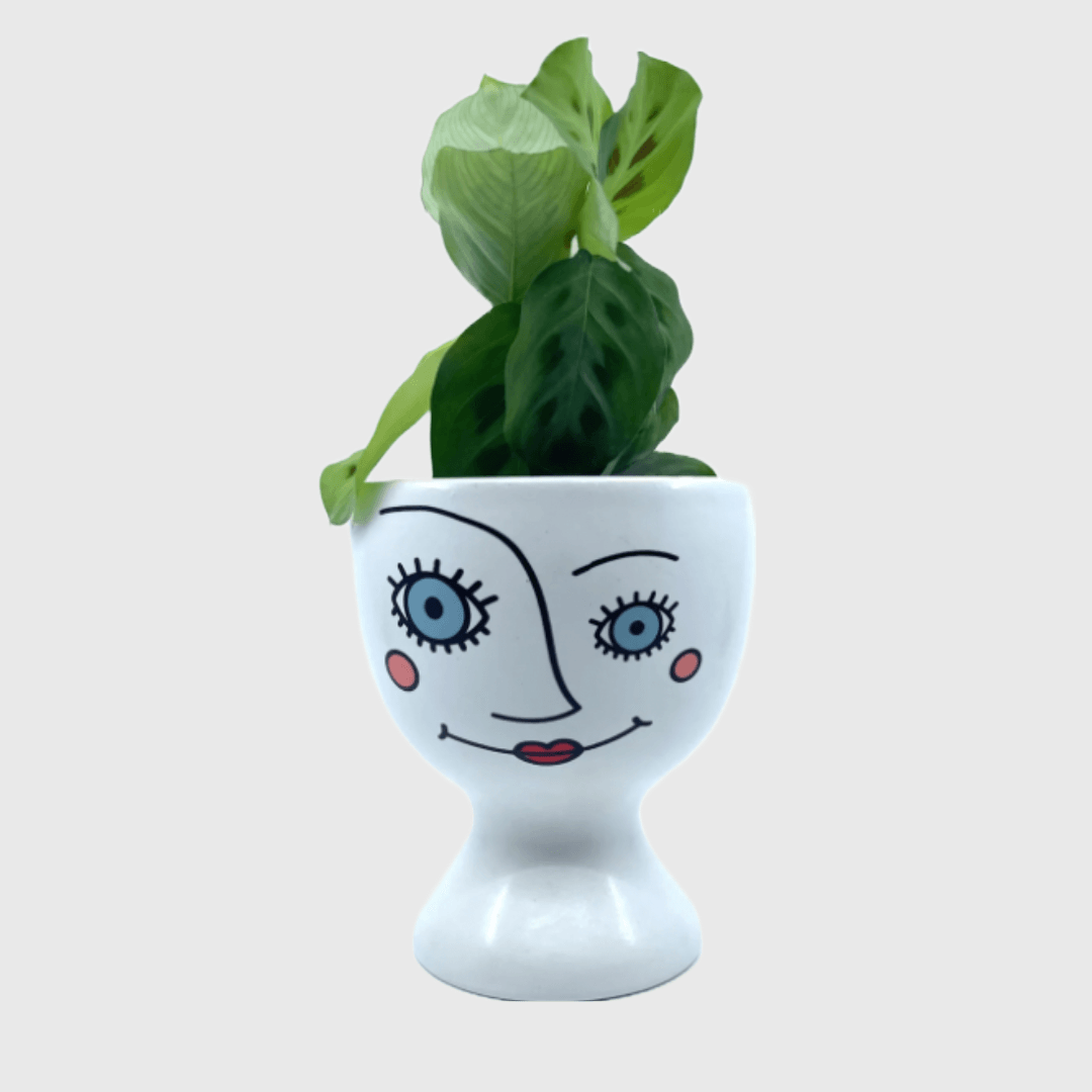 Happy Face - Pot - The Plant Buddies