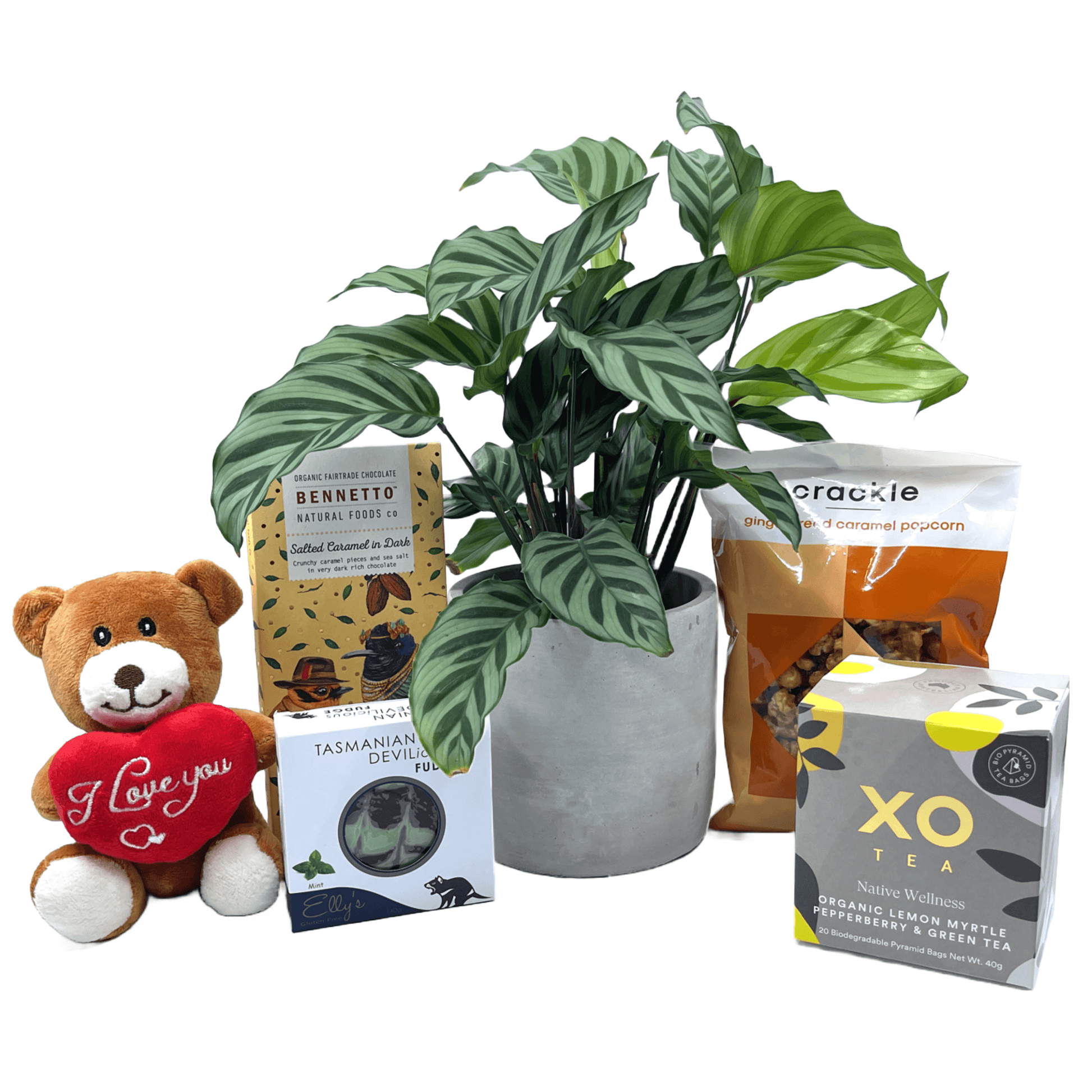 I Love You Gift Box - The Plant Buddies