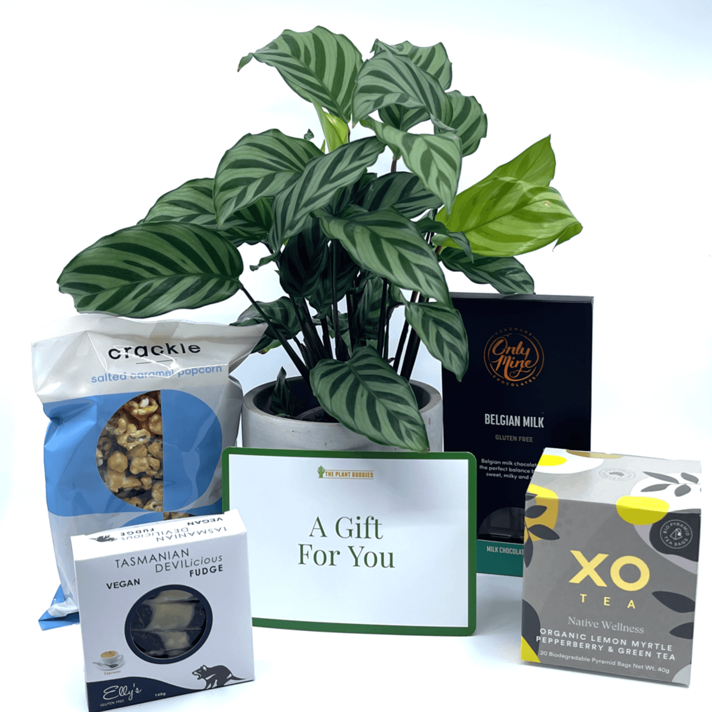 Pamper Him Gift Box - The Plant Buddies