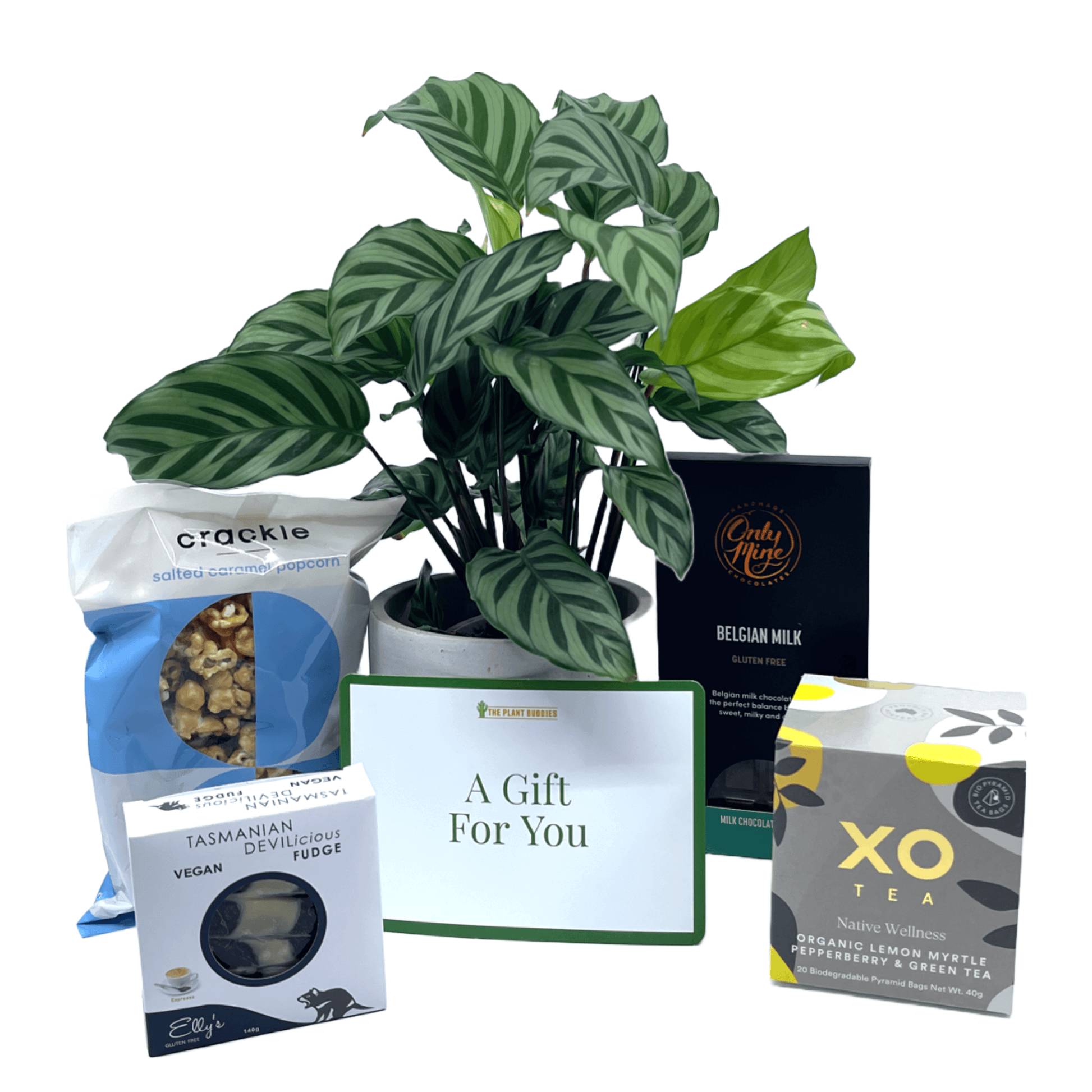 Pamper Him Gift Box - The Plant Buddies