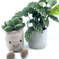Plant + Potted Plushie Gift - The Plant Buddies