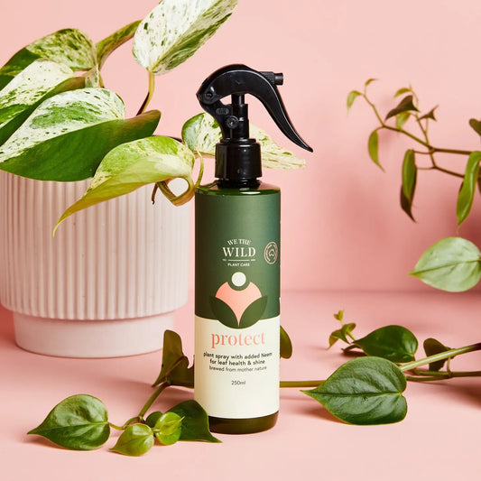 Protect Spray With Neem - We The Wild - The Plant Buddies