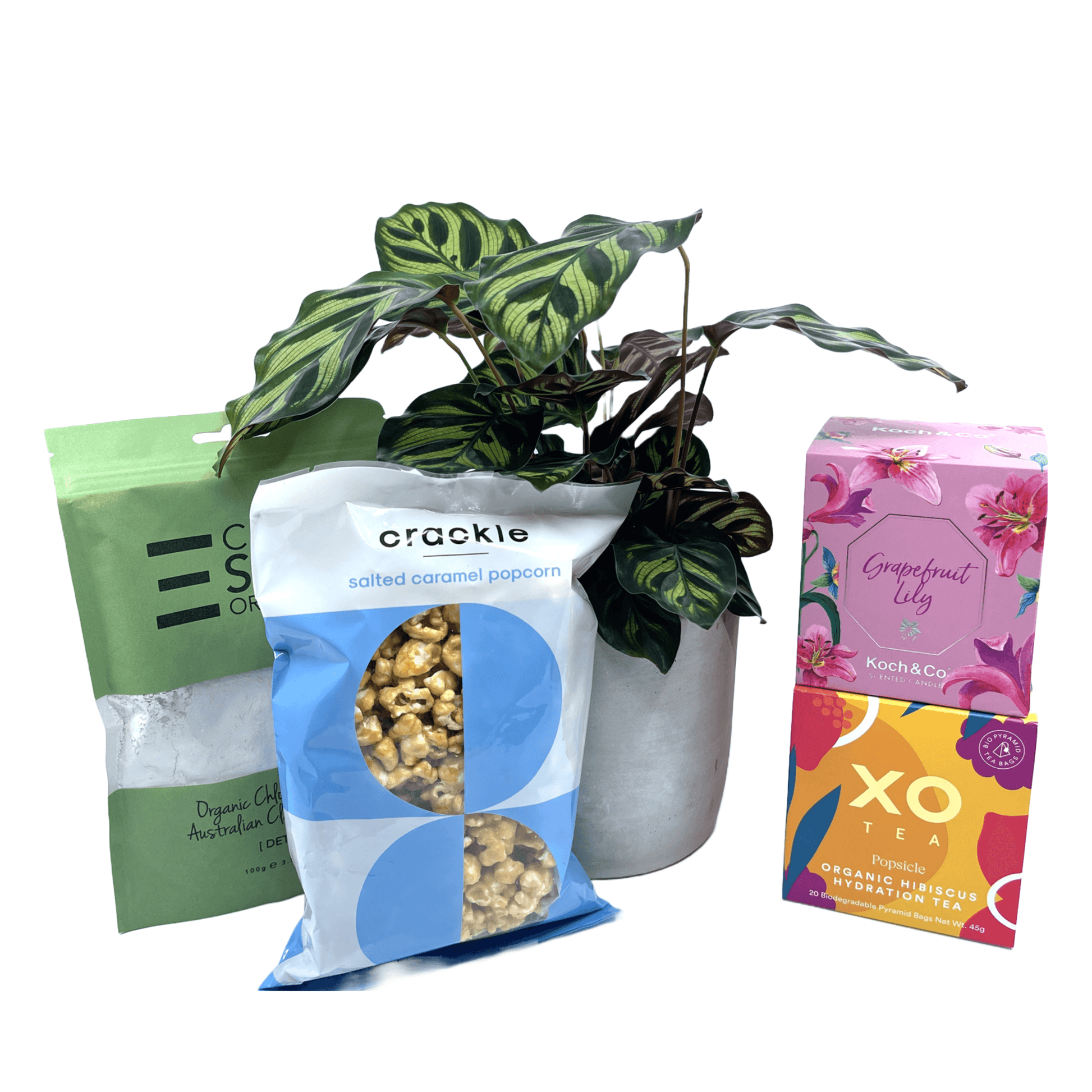 Relax Gift Box - The Plant Buddies
