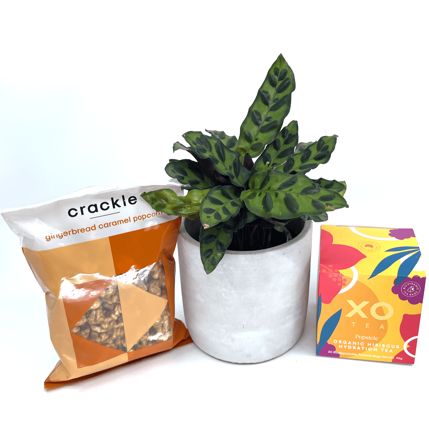 Thanks For Being You - Gift Box - The Plant Buddies