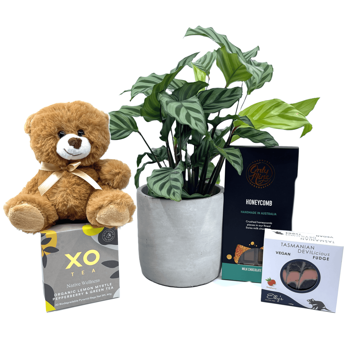 We Will Miss You Gift Box - The Plant Buddies