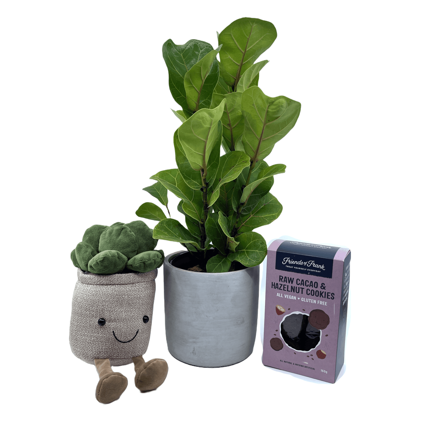 Welcome Home Gift Set - The Plant Buddies