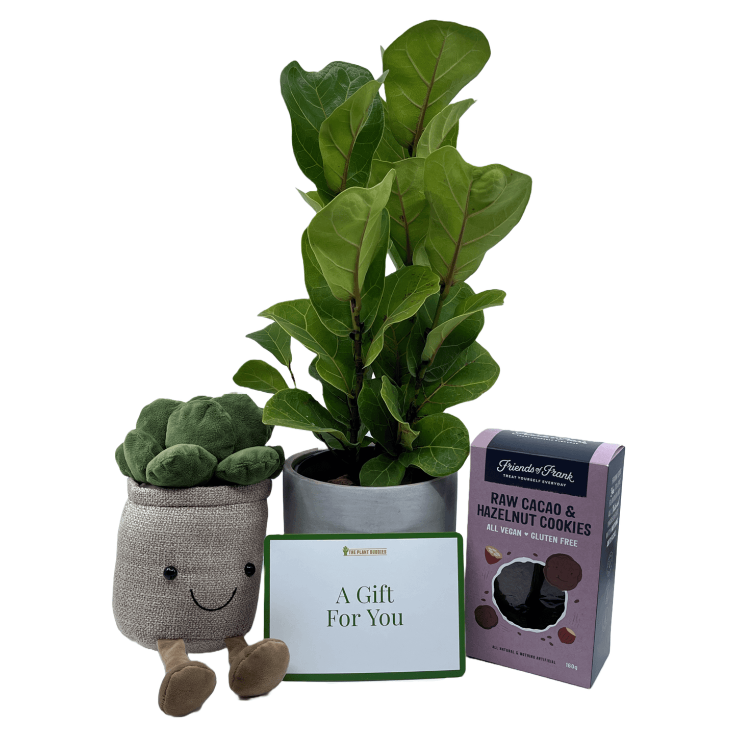 Welcome Home Gift Set - The Plant Buddies